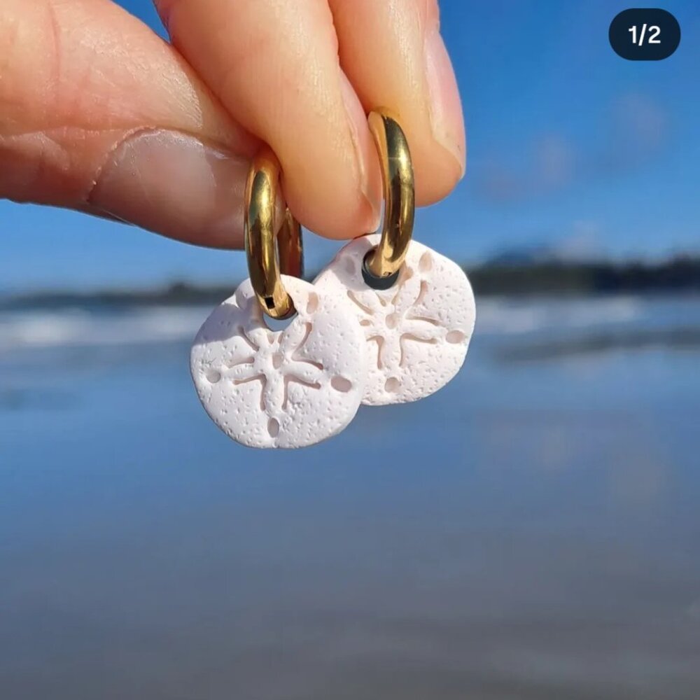 Sand dollar earrings